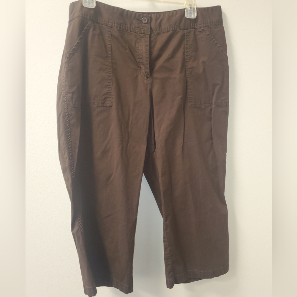 Style & Co. Brown Capris Women’s Pants